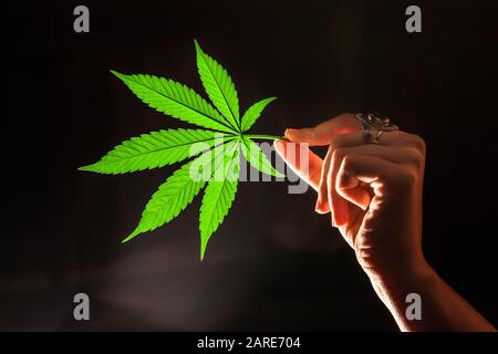 Nahaufnahme eines einzelnen Marihuana-Urlaubs, der von hinten beleuchtet wurde und horizontal von der Hand einer Frau gehalten wird. Hintergrundbeleuchtetes Cannabisblatt auf dunklem Hintergrund. Stockfoto