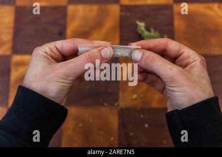 Oben Nahaufnahme von Fingern Drücken eines gemahlenen, mit Cannabis gefüllten Rollpapiers Verdrehen es in ein Gelenk über einem karierten Tisch im Hintergrund. Stockfoto