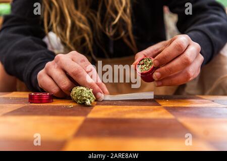 Mann, der ein rotes, mit Unkraut gefülltes Mahlwerk von vorne angeschossen hat. Karierter Tisch mit Rollpapier, Filter und Knospe während des Walzens. Stockfoto