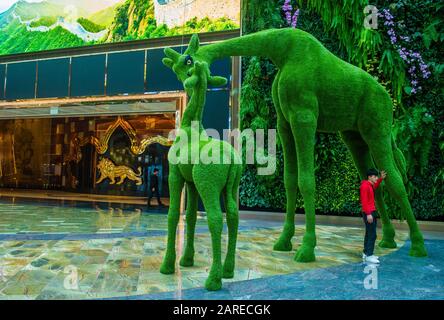 Macau - 01. JANUAR: Das Innere des MGM Cotai Hotels und Kasinos in Macau am 01. Januar 2020. Das 2018 eröffnete Hotel verfügt über 1.390 Zimmer und Suiten. Stockfoto