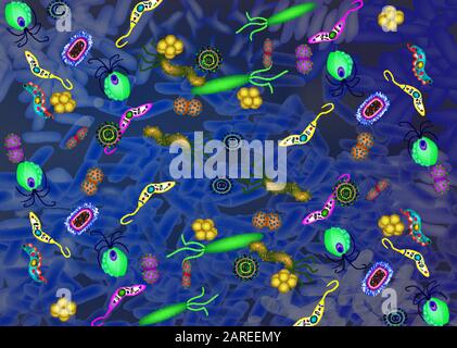 Pathogene Mikroflora im Darm-Hintergrund. Dysbacteriose. Dysbiose. Tötete eine gute Bakterienflora. Infografiken. Vektorgrafiken. Stock Vektor