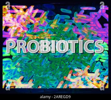 Die guten Bakterien flora Doppelpunkt Hintergrund. Probiotische und prebiotische, synbiotic, Lactobacillus und Bifidobacterium. Infografiken. Vector Illustration. Stock Vektor