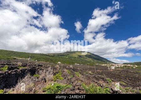 Vulkanische Felswände enthalten Relikte eines alten Weinguts in der Nähe von Sao Mateus auf der Pico-Insel auf den Azoren, Portugal. Stockfoto