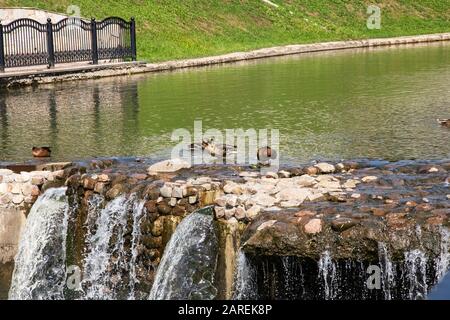 Enten sitzen dicht auf Steinen im Wasser Stockfoto