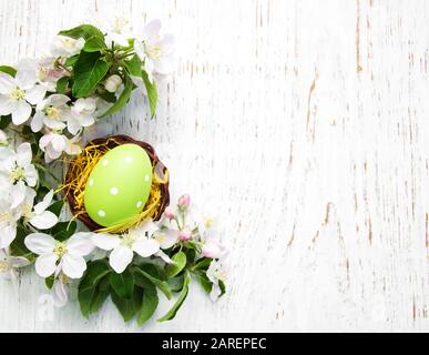 Gelege mit ostereiern und frühlingsapfel blühen Stockfoto