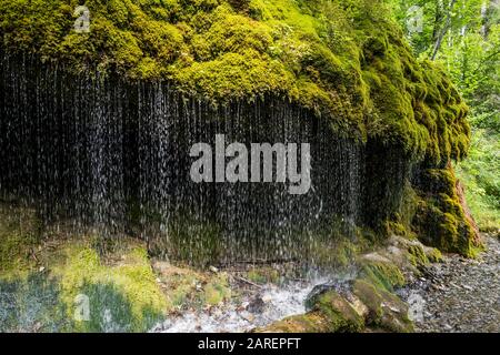 Moos bedeckte Felsen am Wasserfall, Wutachschlucht, Bonndorf, Baden-Württemberg, Schwarzwald, Deutschland Stockfoto