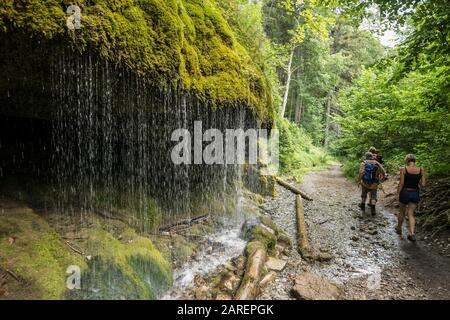 Wanderer, Moos bedeckte Felsen und Wasserfall, Wutachschlucht, Bonndorf, Baden-Württemberg, Schwarzwald, Deutschland Stockfoto