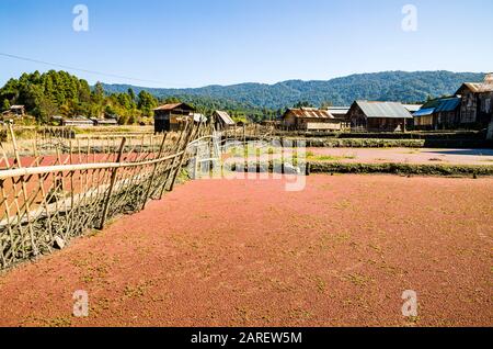 Typische Reisfelder und Dorfstruktur des Apatani-Stammes Stockfoto