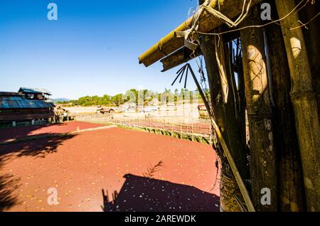 Typische Reisfelder und Dorfstruktur des Apatani-Stammes Stockfoto