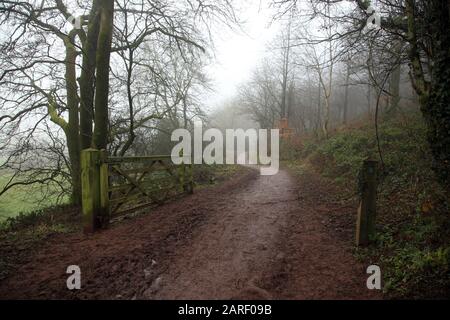 Fußweg im Nebel auf den Clent Hills, Worcestershire, England, Großbritannien. Stockfoto