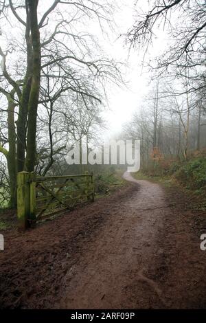 Fußweg im Nebel auf den Clent Hills, Worcestershire, England, Großbritannien. Stockfoto