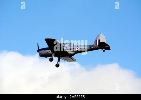 De Havilland DHC-1 Chipmunk Landing at Wellesbourne Airfield, Warwickshire, Großbritannien (WK514) Stockfoto