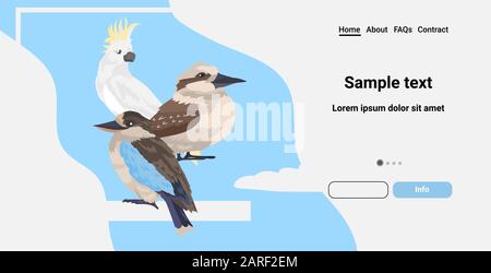 Verbreitete starrende Kookaburra-Kakadus-Vögel Cartoon wilde Tiere Symbol Tierwelt Spezies Tierwelt Konzept flache horizontale Kopie Raum Vektor-Illustration Stock Vektor