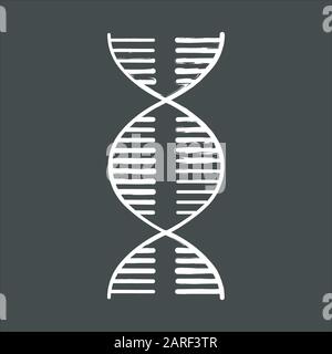 DNA-Kreidesymbol. Desoxyribonukleinsäure, Nukleinsäure-Helix. Spiralstränge. Chromosom. Molekularbiologie. Genetisches Code. Genom. Genetik. Medicin Stock Vektor