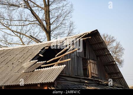 Das Dach eines alten Holzhauses ruinierte unter den Büschen und Gras Stockfoto