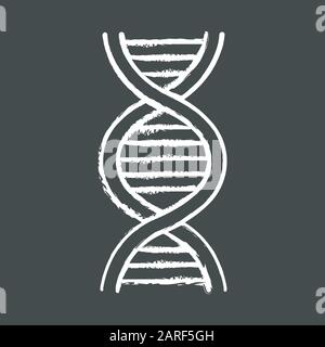 Kreidesymbol für DNA-Helix. Desoxyribonukleinsäure, Nukleinsäurestruktur. Spiralstränge. Chromosom. Molekularbiologie. Genetisches Code. Genom. Genetik. Medii Stock Vektor