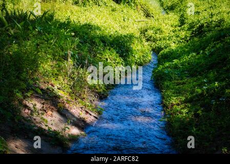 Dieses einzigartige Foto zeigt einen kleinen Bach, der sich durch die Wildnis Thailands schlängelt. Rechts und links vom Wasser wachsen saftige grüne Pflanzen. Stockfoto