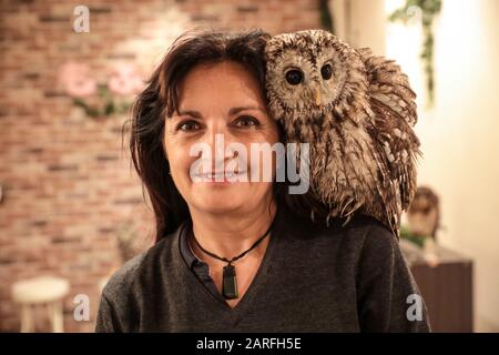 EULENCAFÉ IN GINZA Stockfoto
