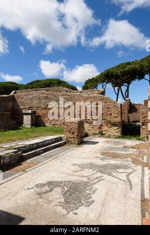 Rom. Italien. Ostia Antica. Caserma dei Vigili (Kaserne der Feuerwehr). Mosaik, das die Opferung von Bullen im Pronaos (Vestibül) des Th darstellt Stockfoto