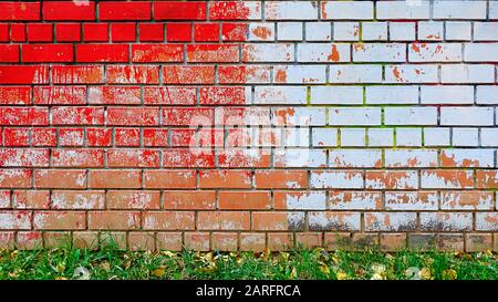 Mauer aus Backstein in Flecken roter Farbe und Flecken aus weißem Stuck. Grünes Gras und heruntergefallene Herbstblätter am Grund Stockfoto