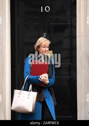 Geschäftsministerin Andrea Leadsom verlässt nach einer Sitzung des nationalen Sicherheitsrats die Downing Street, London. Stockfoto