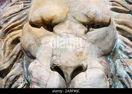 Nahaufnahme der Löwenplastik mit starkem Look Stockfoto