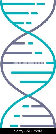 DNA-Doppelhelix violett und türkis-farbiges Symbol. Desoxyribonukleinsäure, Nukleinsäurestruktur. Spiralstränge. Chromosom. Molekularbiologie. Genetisch Stock Vektor