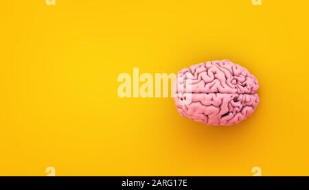 Pink Brain auf gelbem Hintergrund 3d Rendering Stockfoto