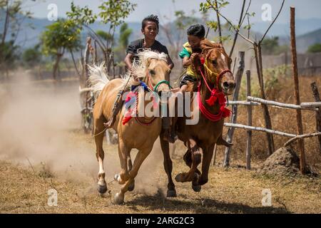 Sumbawa BESAR, INDONESIEN - 21. SEPTEMBER 2017: Traditioneller Pferderennen in Sumbawa Besar, Indonesien. Stockfoto