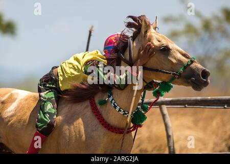 Sumbawa BESAR, INDONESIEN - 21. SEPTEMBER 2017: Traditioneller Pferderennen in Sumbawa Besar, Indonesien. Stockfoto