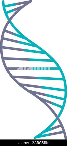 DNA Spiralstrang violett und türkis-farbiges Symbol. Desoxyribonukleinsäure, Nukleinsäure-Helix-Streifen. Chromosom. Molekularbiologie. Genetisches Code. Genom. Stock Vektor