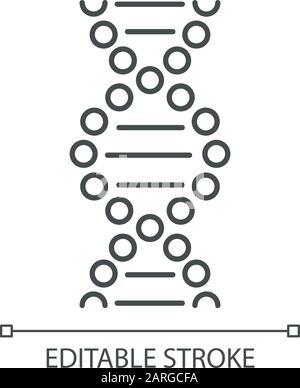 Lineares DNA-Spiralsymbol. Verbundene Punkte, Linien. Desoxyribonukleinsäure, Nukleinsäure-Helix. Chromosom. Genetisches Code. Dünne Linie. Kontursymbol. Stock Vektor
