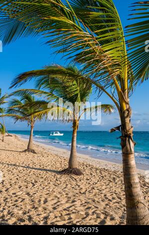 Strand; Riu Palace; Hotel; Punta Cana; Dominikanische Republik; Karibik Stockfoto