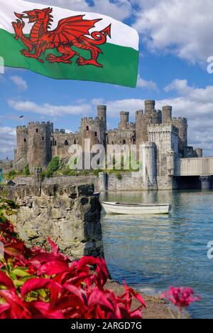 Berühmte Conwy Castle in Wales, Vereinigtes Königreich, Serie von walesh Burgen Stockfoto