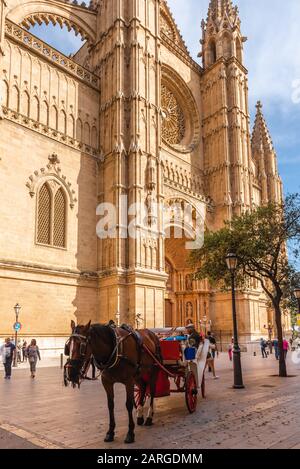 Mallorca, Spanien - 8. Mai 2019: Pferdekutsche in der Nähe von La Seu, der gotischen Kathedrale de Palma de Mallorca auf der Insel Mallorca, Baleares, Spanien Stockfoto