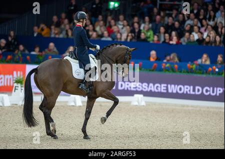 Amsterdam, NIEDERLANDE - 25. JANUAR: Charlotte Dujardin von Great Britan Reiten Mount St John Freestyle beim Grand Prix Freestyle präsentiert von VrienLoerij - Springen Amsterdam am 25. Januar 2020 in Amsterdam. (Foto von Thomas Reiner/ESPA-Images) Stockfoto