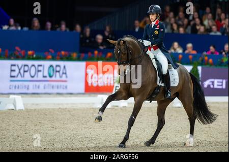 Amsterdam, NIEDERLANDE - 25. JANUAR: Charlotte Dujardin von Great Britan Reiten Mount St John Freestyle beim Grand Prix Freestyle präsentiert von VrienLoerij - Springen Amsterdam am 25. Januar 2020 in Amsterdam. (Foto von Thomas Reiner/ESPA-Images) Stockfoto