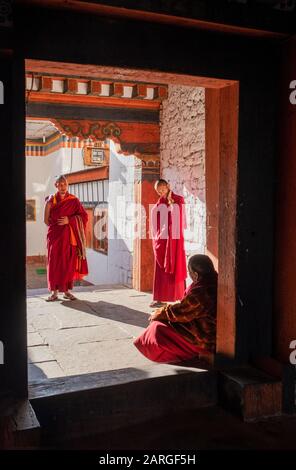 Männer spielen Mahjong, Baisha Village, Lijiang, Yunnan, China, Asien Stockfoto