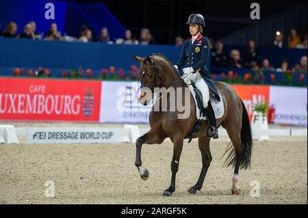 Amsterdam, NIEDERLANDE - 25. JANUAR: Charlotte Dujardin von Great Britan Reiten Mount St John Freestyle beim Grand Prix Freestyle präsentiert von VrienLoerij - Springen Amsterdam am 25. Januar 2020 in Amsterdam. (Foto von Thomas Reiner/ESPA-Images) Stockfoto