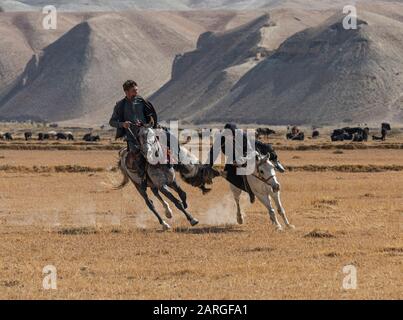 Männer, die ein traditionelles Buzkashi-Spiel praktizieren, Yaklawang, Afghanistan, Asien Stockfoto