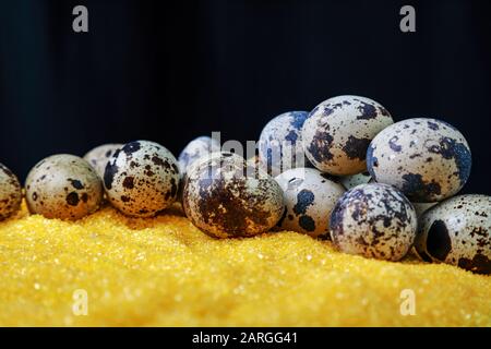 Viele frische Eier zum Kochen Stockfoto