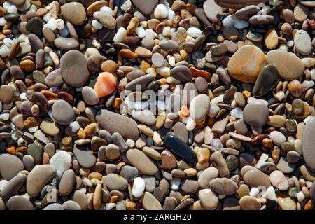 Natürlicher Hintergrund von nassen bunten Kieselsteinen am Strand Stockfoto