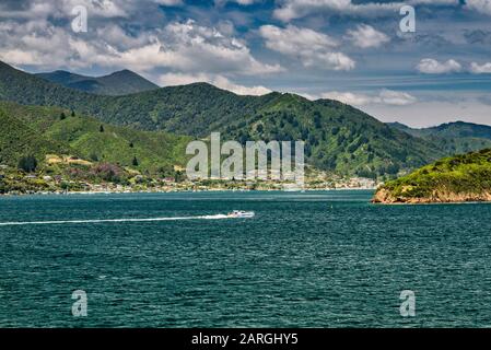 Dorf Waikawa, in der Nähe von Picton, in Queen Charlotte Sound, Marlborough Sounds, Marlborough Region, South Island, Neuseeland Stockfoto