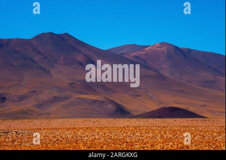 Landschaft an der Ruta 51 nahe der Grenze zu Chile am Paso Sico, Argentinien Stockfoto