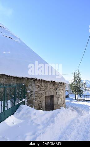 Altes schneebedecktes Palloza Rundsteinhaus mit Reetdach und Eiszapfen. Piornedo-Bergdorf, Ancares, Lugo, Galicien, Spanien. Stockfoto