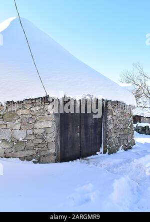 Altes schneebedecktes Palloza Rundsteinhaus mit Reetdach und Eiszapfen. Piornedo-Bergdorf, Ancares, Lugo, Galicien, Spanien. Stockfoto