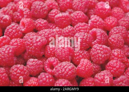 Streuung wilder Himbeeren, selektiver Fokus, sanfte Farbgebung, Vollformatfotos für Hintergrundbilder oder Hintergründe Stockfoto