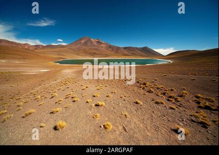 Miniques Lake, Altiplanic Lakes, Atacama Desert, Chile Stockfoto