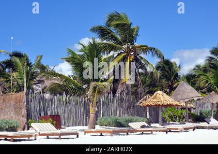 Eine Szene am Strand mit Doppel-Lounge-Stühlen und Palmen. Ein Bambuszaun und Reetdachschirme. Stockfoto