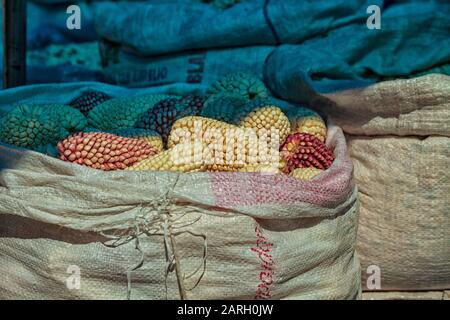 Reifer peruanischer Mais auf dem Chivay-Markt, Colca Canyon, Peru Stockfoto